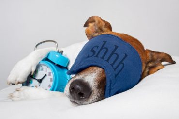 Best soundproof earmuffs for sleeping. Put them on at bedtime.