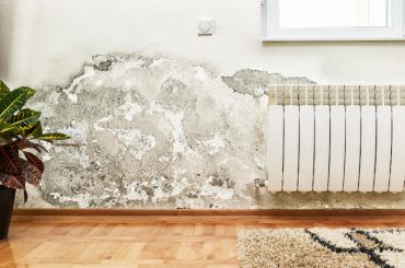 How to dry out a wall after water damage.