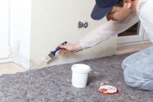 Mold- and Mildew-Resistant Paint: Does it Really Work?