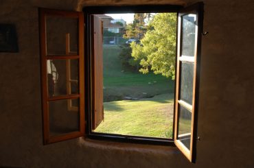 Does opening windows reduce damp?