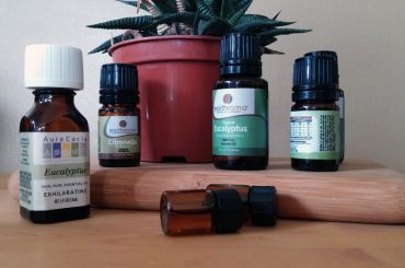 What happens if you put essential oil into a humidifier.
