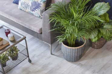 A comfortable gray sofa set on a gray floor, styled with soft white, blue, and green pillows and surrounded by lush indoor plants.