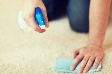 The best carpet cleaning spray (foam and liquid).