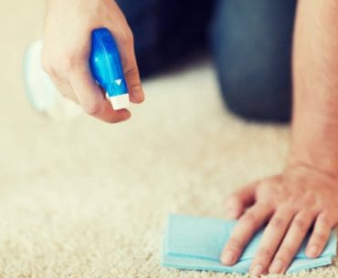 The best carpet cleaning spray (foam and liquid).
