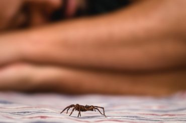 Keeping spiders away from the bed while sleeping.
