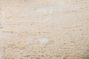 The best ways to dry a wet carpet.