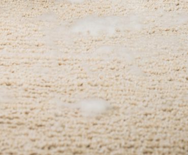 The best ways to dry a wet carpet.