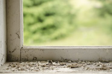 How to fix a rotted window frame.