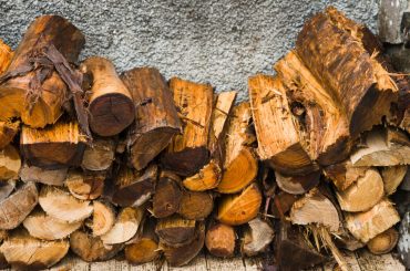 Can you burn wet wood.