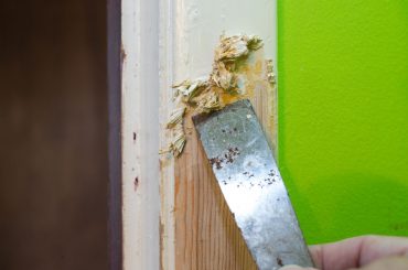 How to make a DIY paint stripper and scrape the paint.