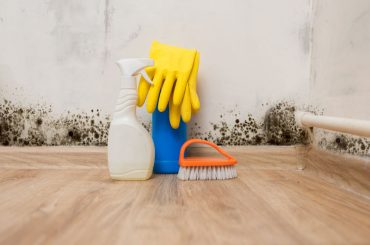 Bleach and vinegar: Which One Is Better for Mold Removal