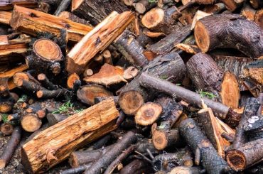 Drying out wet firewood.