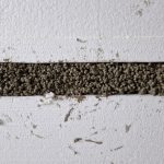 EPS concrete made from EPS beads, cement and water for covering pipes and cables.